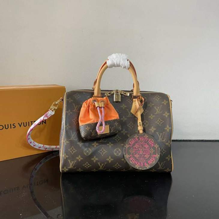 Picture of Louis Vuitton Handbags _SKUfw230105228fw